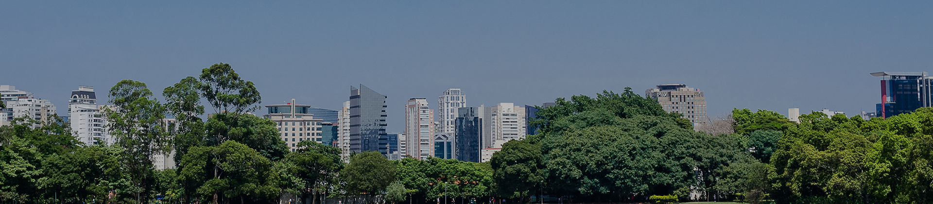 Annual Brazil ETF & Indexing Masterclass